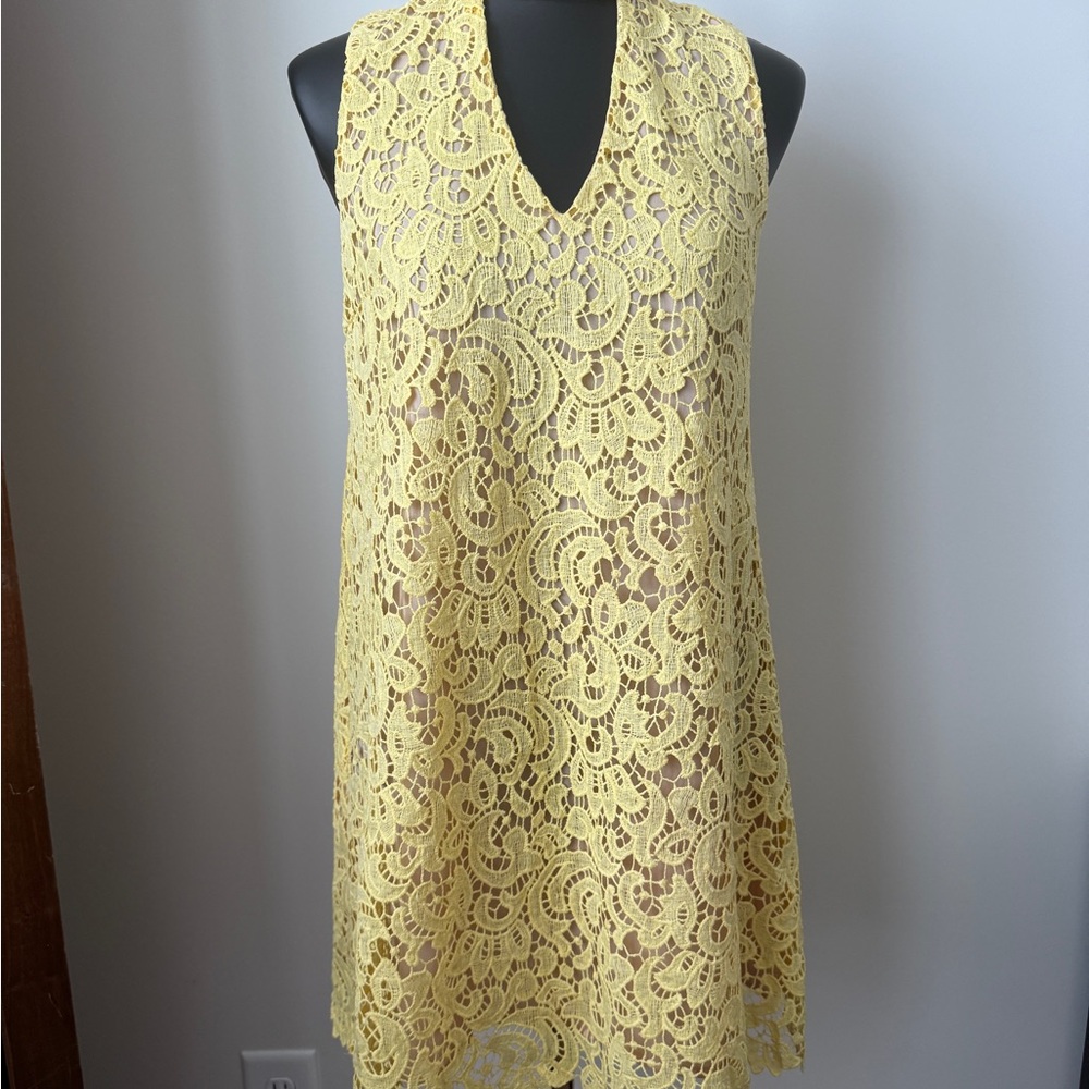 Blu Pepper Sunflower Yellow Lace/Nude Sleeveless Dress Size M Classy EUC
